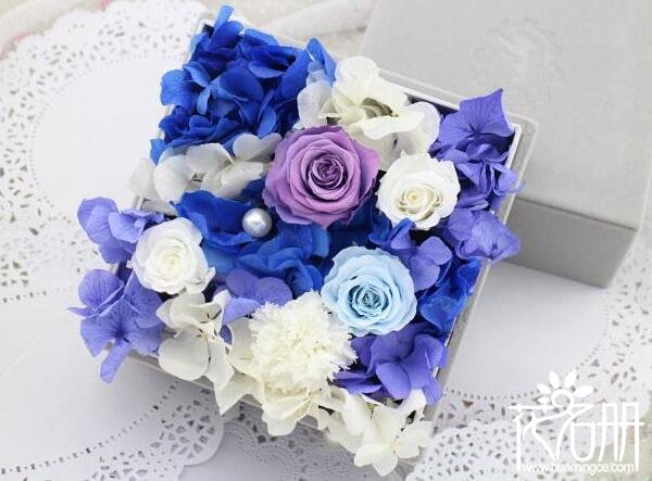 永生花一般多少钱一盒7大品牌永生花价格(89元-1999元不等)