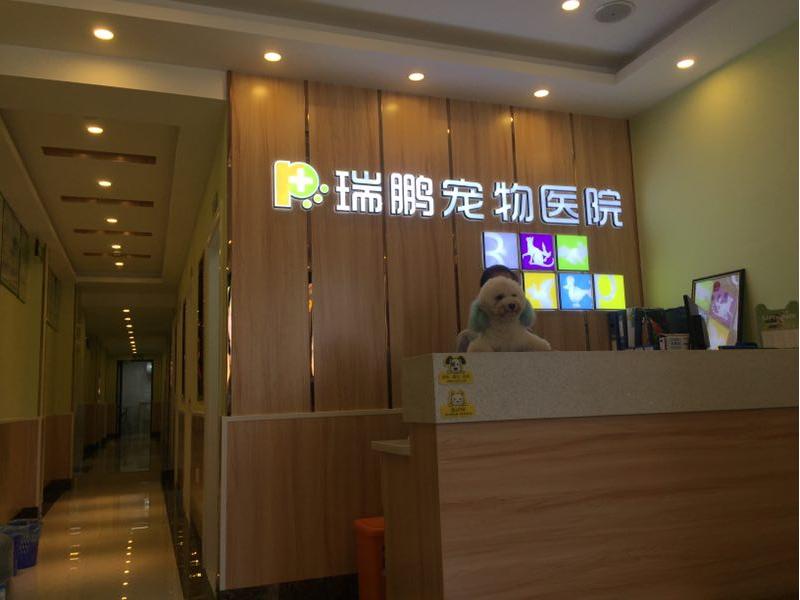 南宁二十四小时宠物医院,南宁宠物医院24小时急诊多少钱