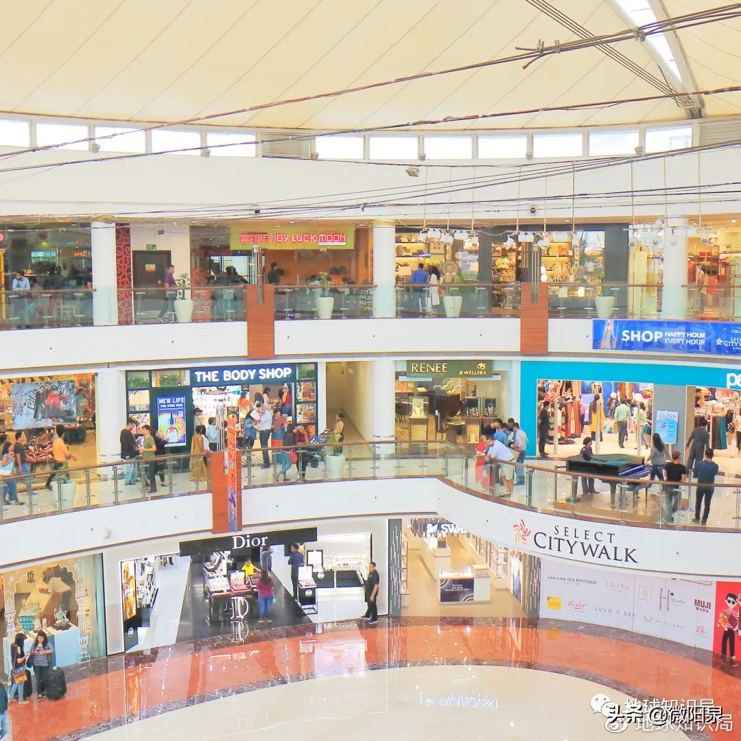 印度，“野生便利店”|地球知识局