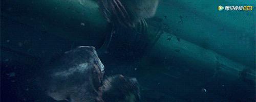 云南虫谷到底还播不播,云南虫谷今天能播么