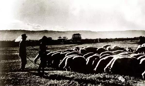 太原老城话,太原老街旧话之三