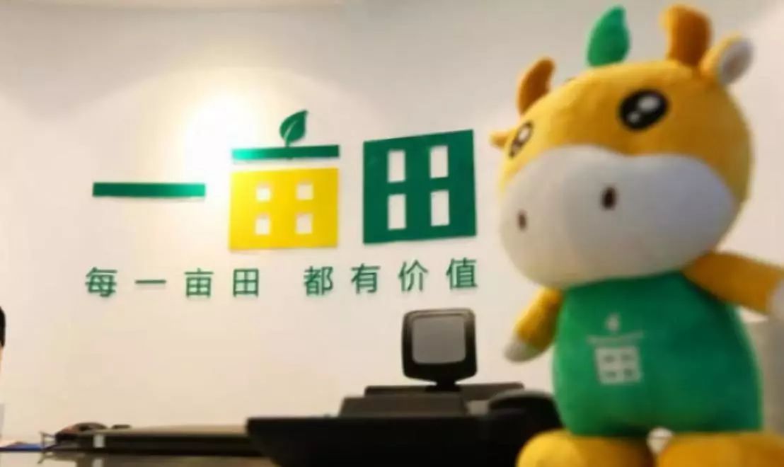 农产品9.9,拼多多卖9.9包邮的产品怎么赚钱的