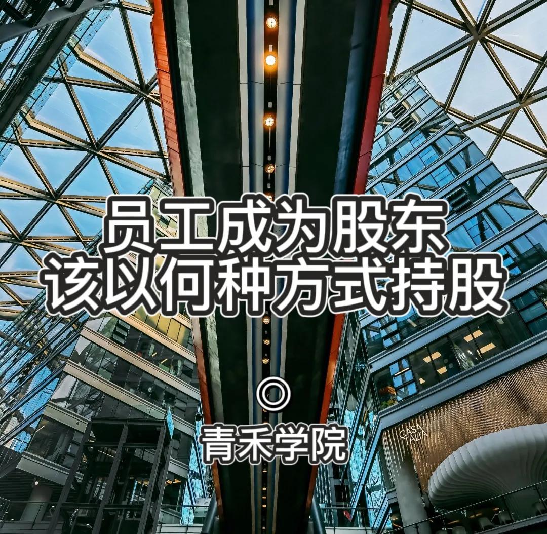 员工如何成为自己公司的股东,员工成为合伙人方案