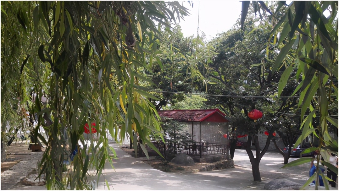 临沂蒙山大洼，自由地享受山里的美食与风景（自驾游）
