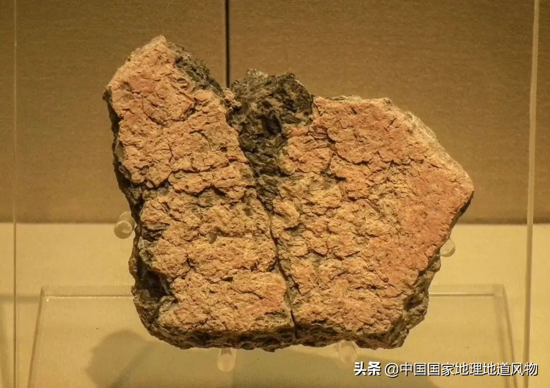 浙江金华在省内地位,浙江金华属几线城市