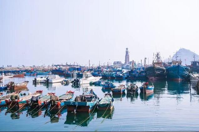 大连有海的城市确实比较浪漫一点,向往的海滨城市大连浪漫之旅