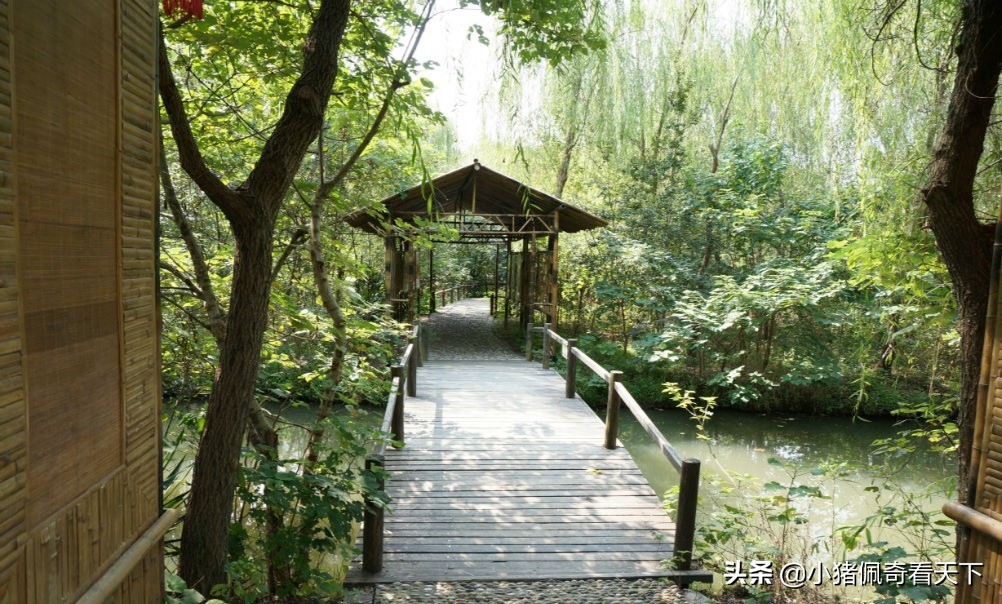 溱湖国家湿地公园晚上好玩吗,溱湖国家湿地公园门票