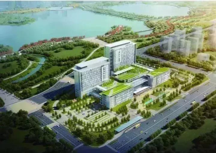 新站未来的潜力板块在哪里,新站发展最新消息