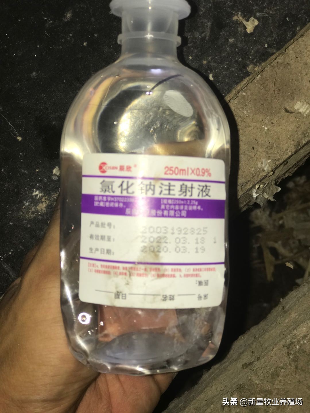 养殖羊必备药品清单表,农村养羊必备的药有哪些