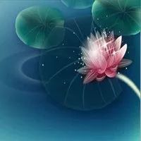 实体店老板为何必须学习社群营销,社群群主个人ip打造