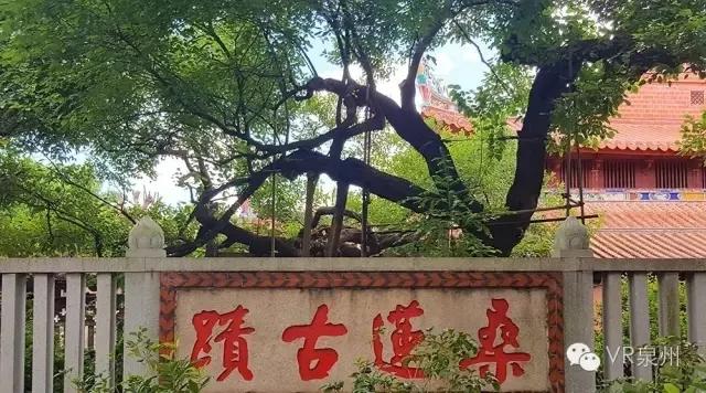 泉州世界之最,泉州被誉为世界第一大港