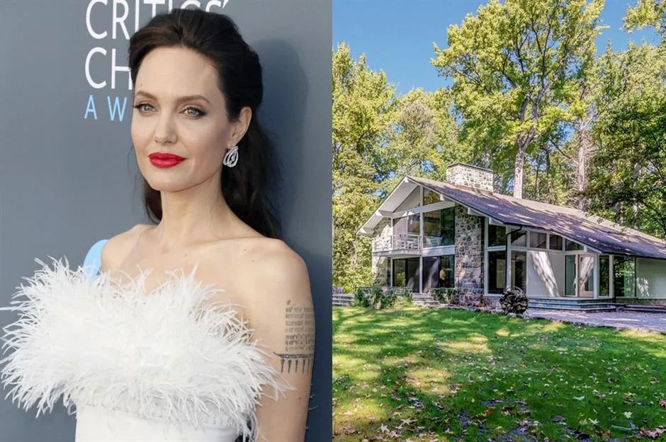 安吉丽娜朱莉麦当娜,安吉丽娜朱莉从小到大