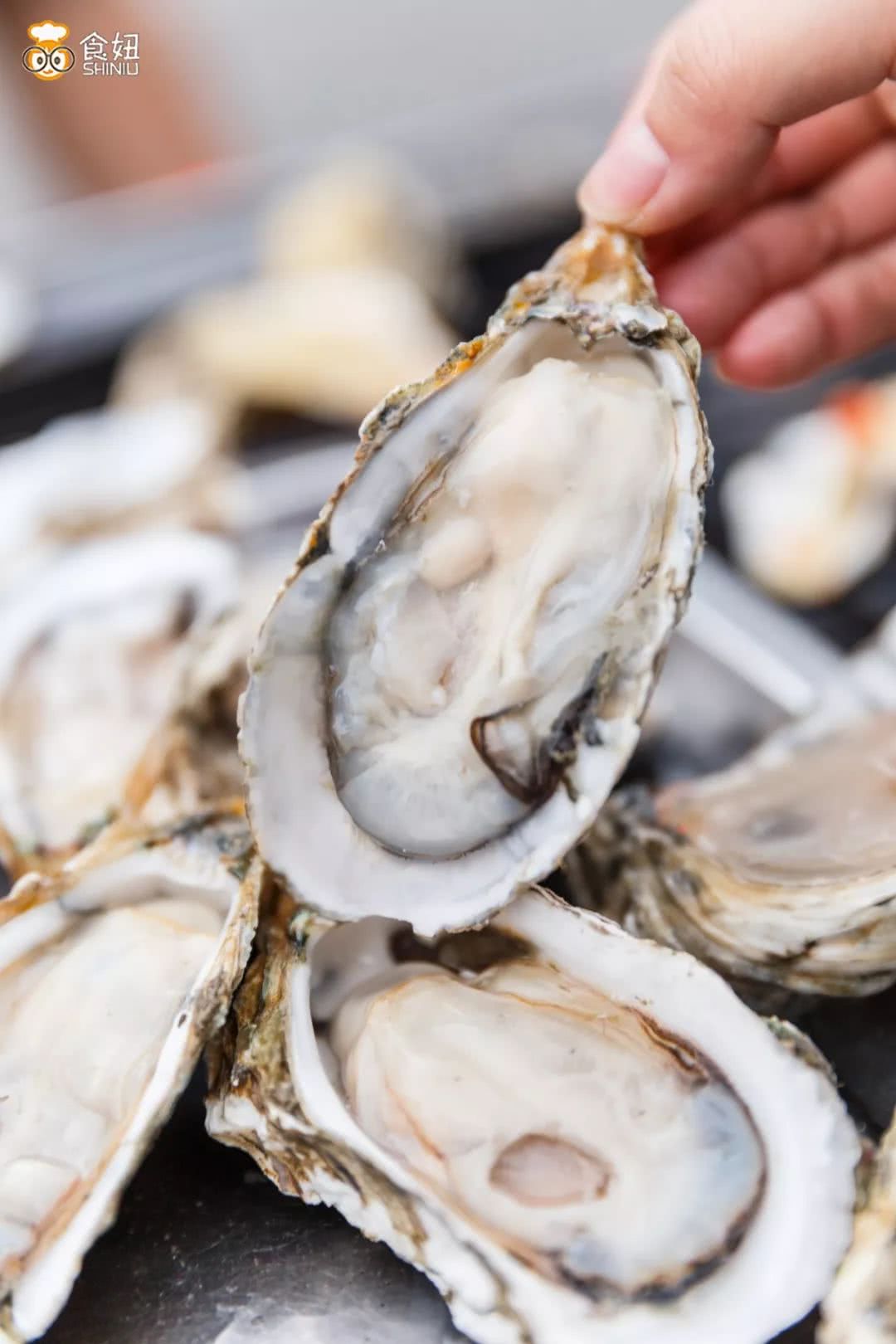 游击队吃生蚝视频,游击队烤生蚝