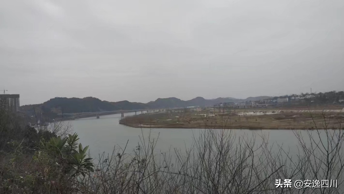 四川南充女孩怀念奶奶:寄天堂花开的地方