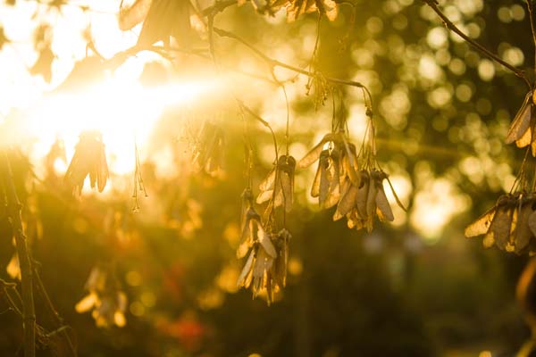 皮肤发黄吃什么维生素,皮肤发黄吃什么蔬菜好
