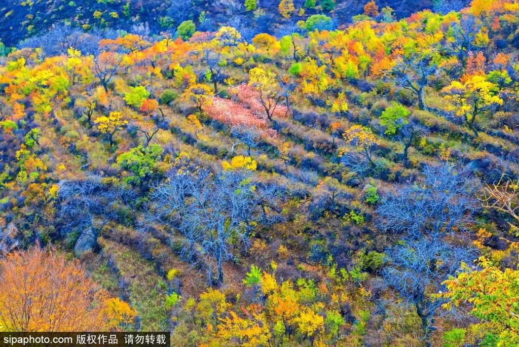 适合旅游的免费景点北京,推荐北京假期游玩的地方