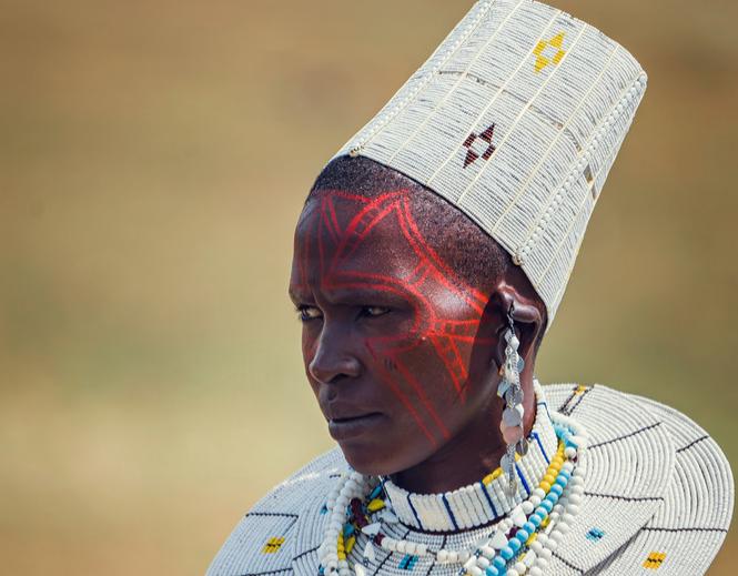 坦桑尼亚之旅,坦桑尼亚东非草原