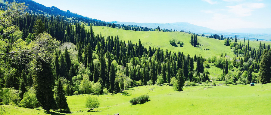 深圳富华医疗美容是正规吗,深圳富华医疗美容科技怎么样