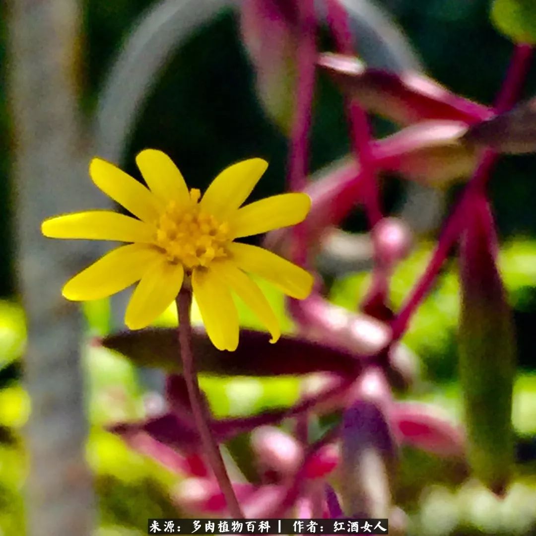 记录走过的美景留下美好的回忆,记录走过的每一段美好时光