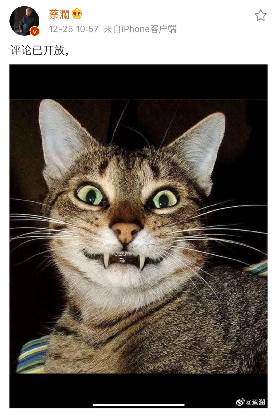 潮汕蛋炒饭的正宗做法,蛋炒饭回锅老干妈