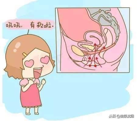 科普盆底肌的知识,健康科普堂心理防护