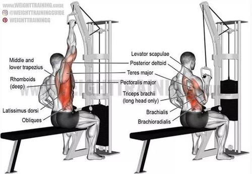 健身爱好者口中的鲨鱼线,鲨鱼线的正确锻炼方法