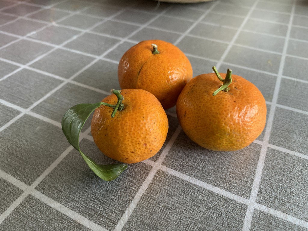 经常吃砂糖橘手会发黄吗,经常吃砂糖橘对孩子好吗