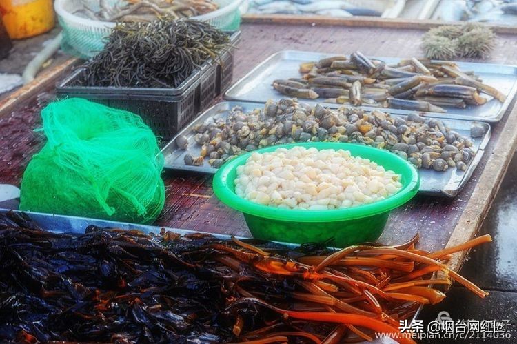 烟台莱阳海鲜早市,烟台老红利市场早市