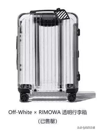 日本NO.1陪酒女郎！年仅23岁收入过亿，出身名门还是高学历海归！