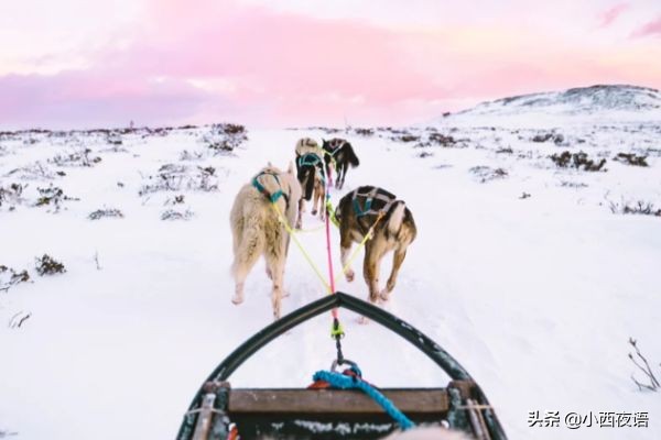 你是否跟我一样，越来越享受不到旅行的快乐…