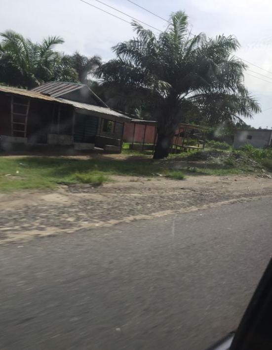 我在非洲打工，非洲黑人要钱的套路深