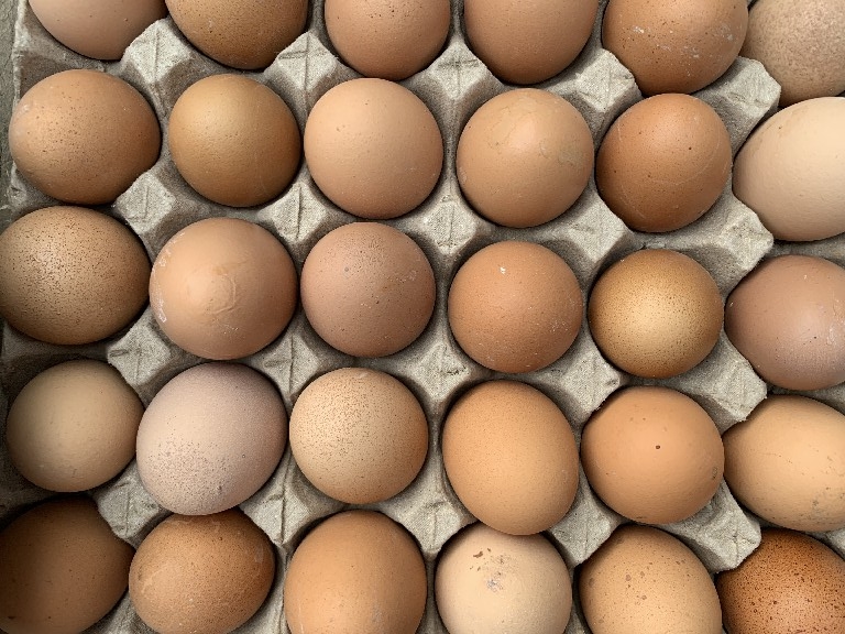 腌鸡蛋只放盐的做法,腌鸡蛋最好吃的方法不放盐