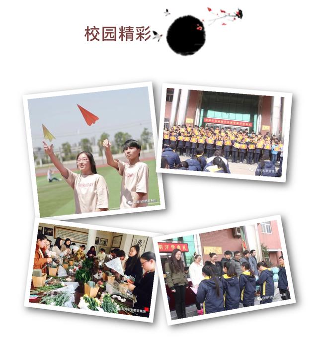 蚌埠行知高级中学高中招生电话,安徽蚌埠行知高级中学分数线