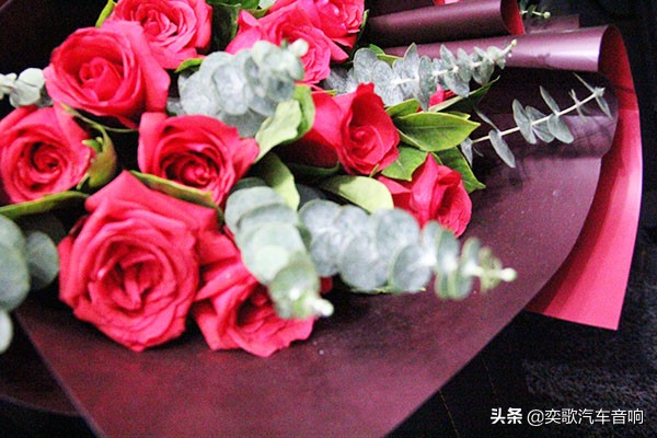 丹拿272音响试听dj,丹拿汽车音响272和232