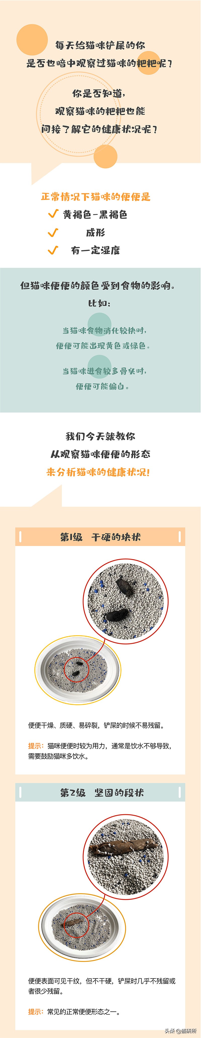 一张图了解猫咪的超能力,一张图看懂猫咪血气分析