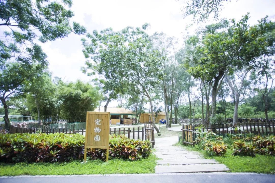 青塘会员卡正式上线，粉丝福利送不停！！！