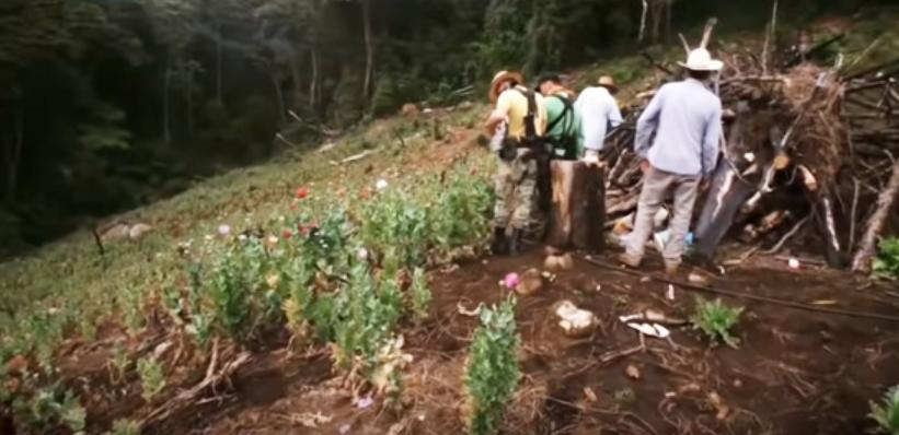 墨西哥是发达国家还是发展中国家,墨西哥和美国的关系怎么样