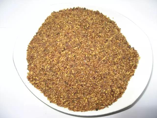 菟丝子可以补肝肾阴亏吗,菟丝子补肾的神奇功效