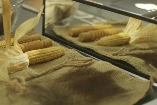 伊顿教育培训中心,伊顿少儿教育