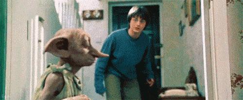 野生养娃、魔幻修路、吃的东西酸爽过头，冰岛这个国家真的好玄幻