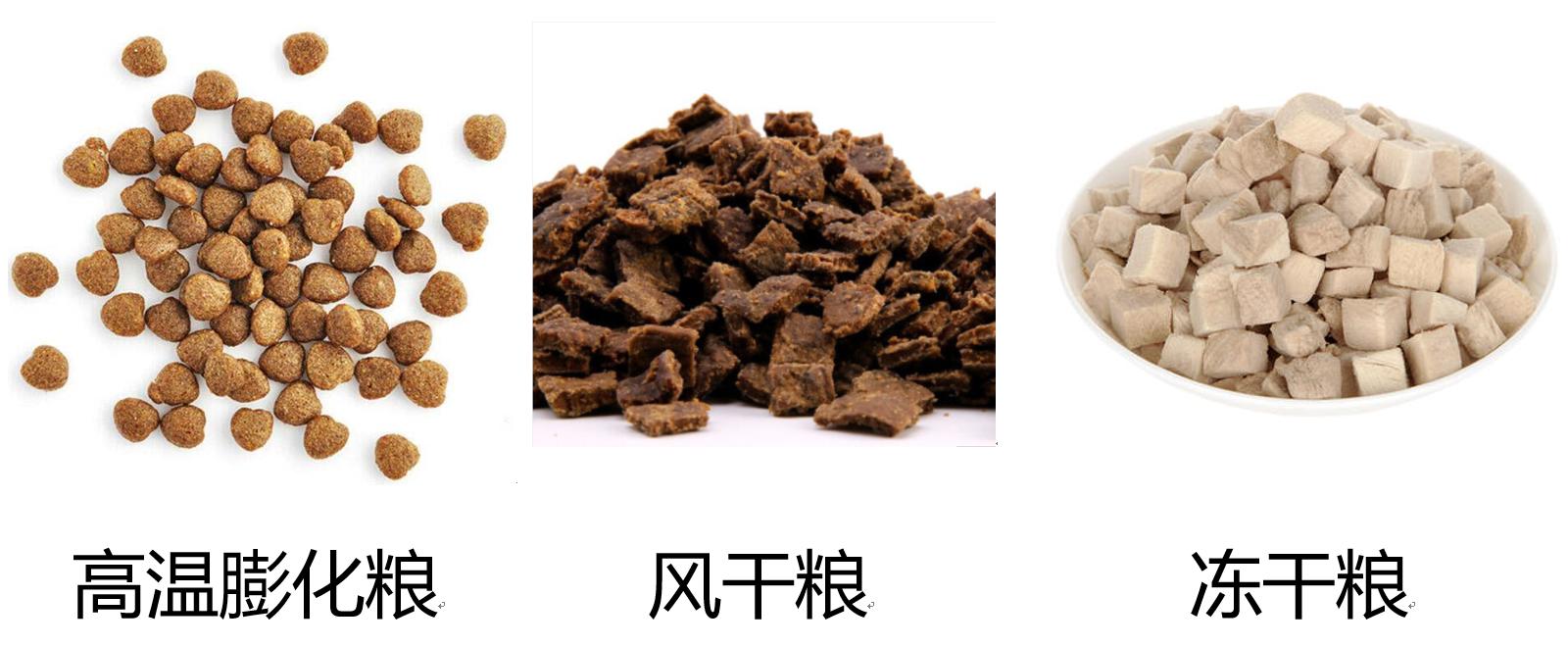 怎么选择猫粮才是正确的,一个月的猫咪怎么挑猫粮