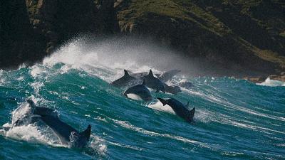 长春家长都领着孩子在干这件事儿,你没做,就落后了!