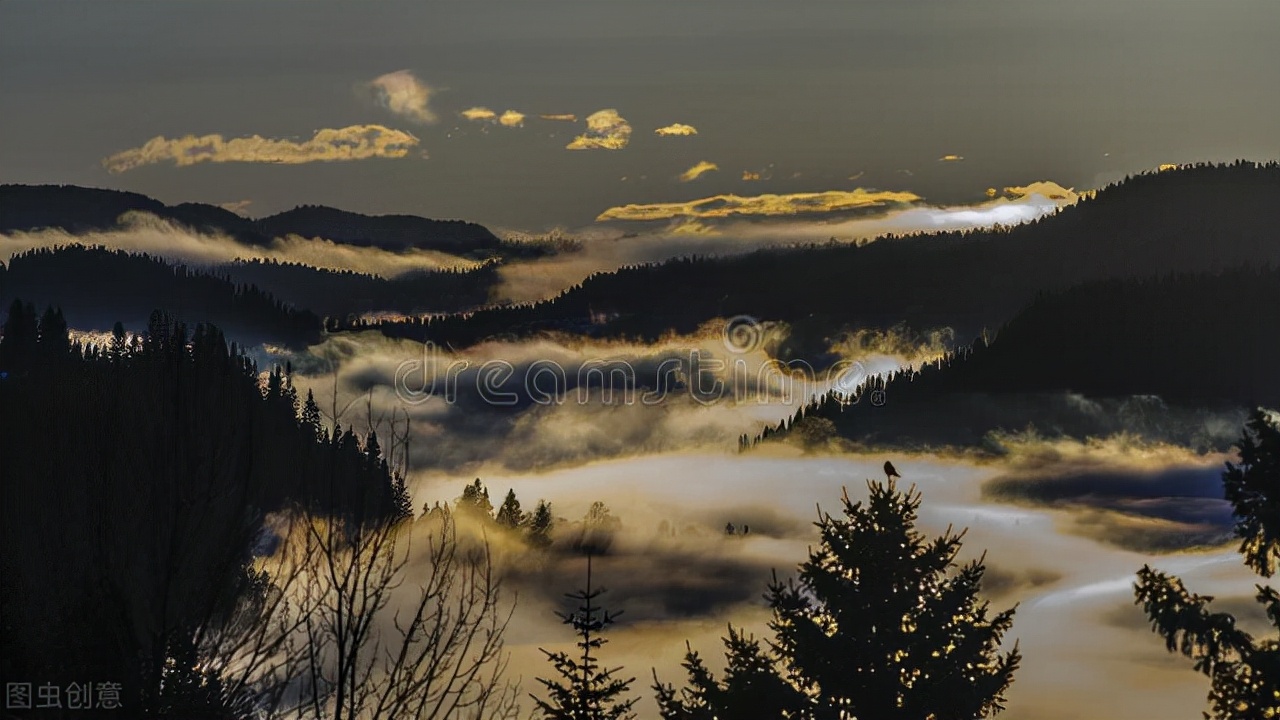 5本完结多年仍是经典的网络小说,推荐五本巅峰网络小说统治力爆表