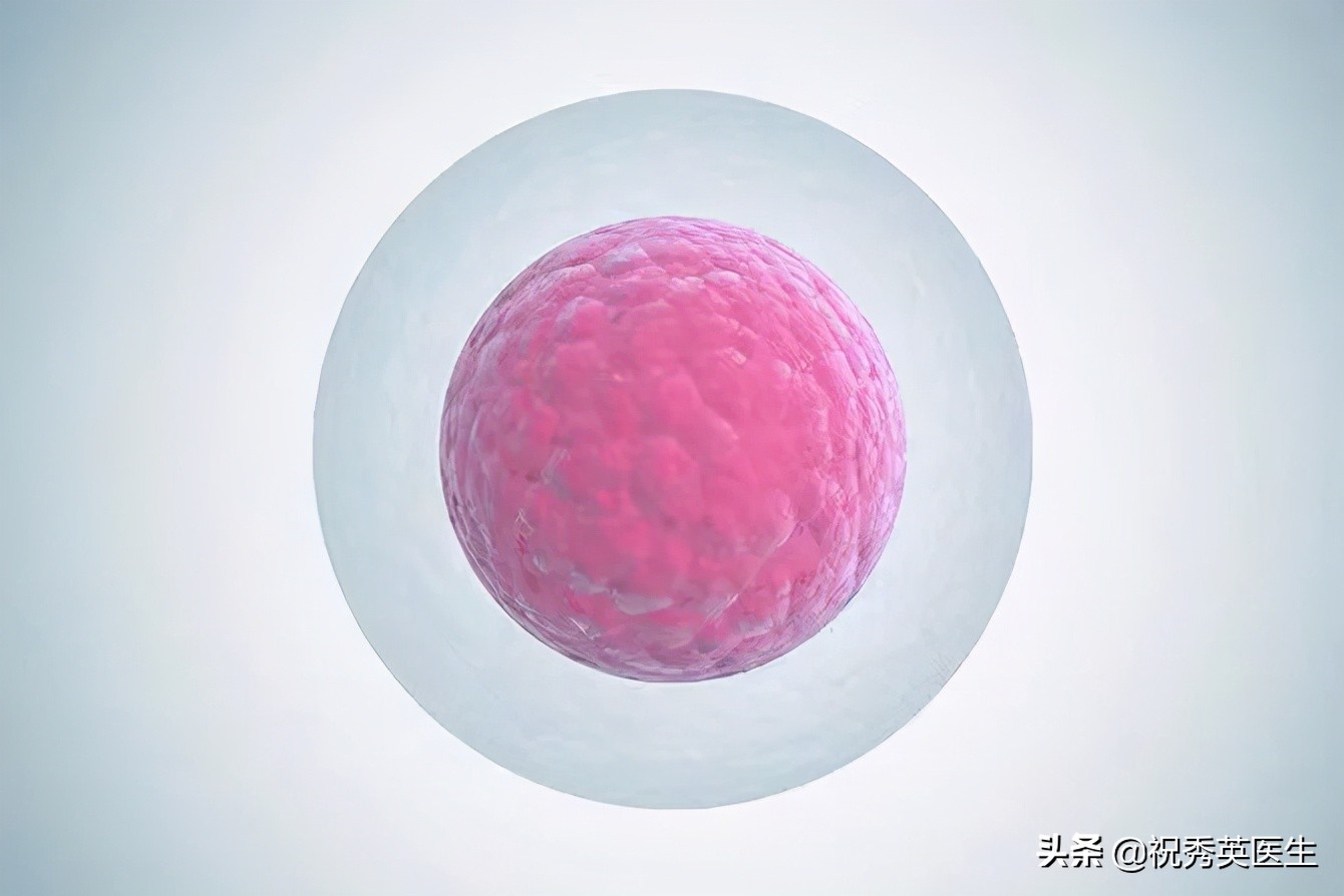 卵泡大小为什么会影响卵子质量,卵泡长不大是怎么促排卵的