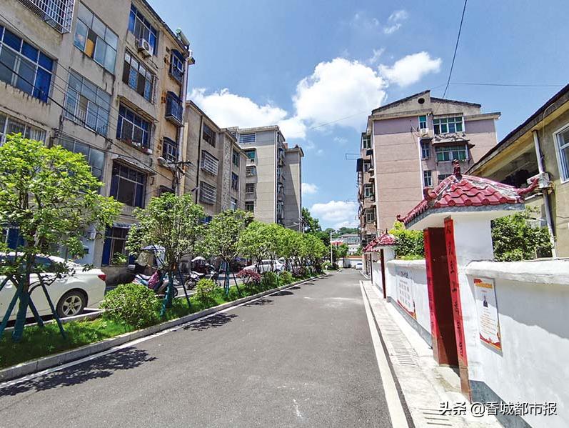 想在“细微处”改在“心坎上”——温泉街道“红色物业”全覆盖工作掠影