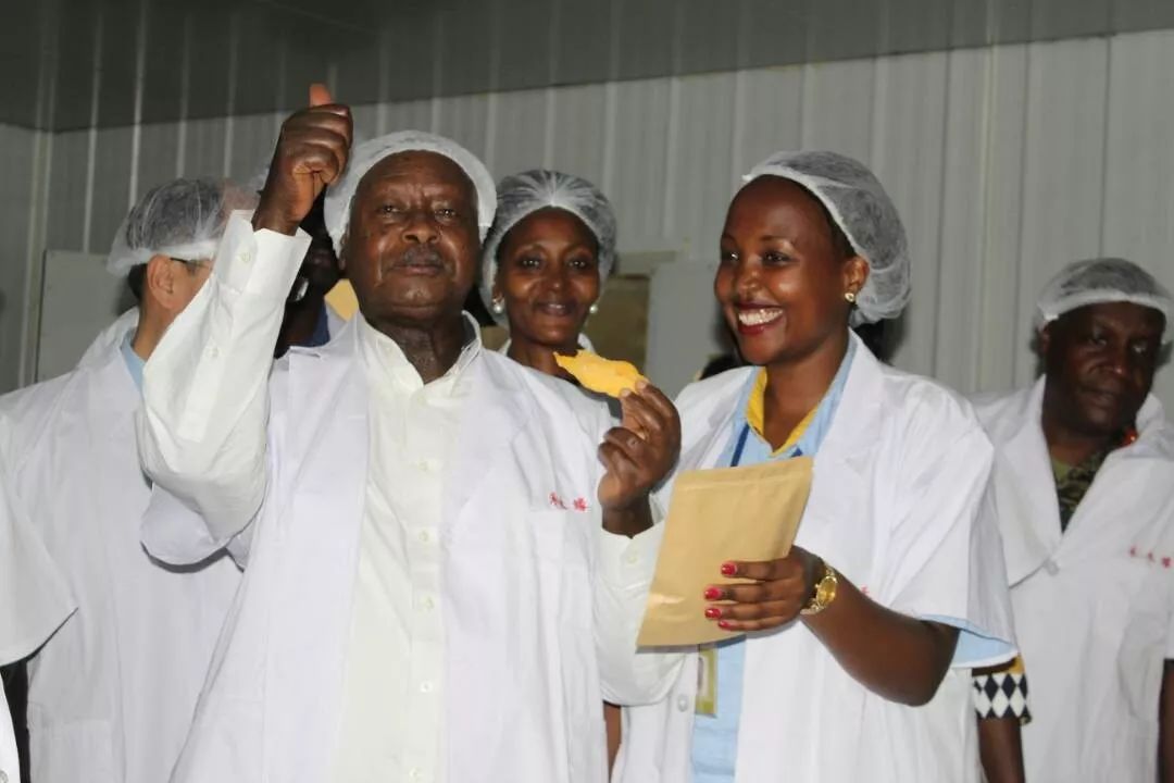 安德鲁打工记：我在中国工厂的流水线上做非洲芒果干