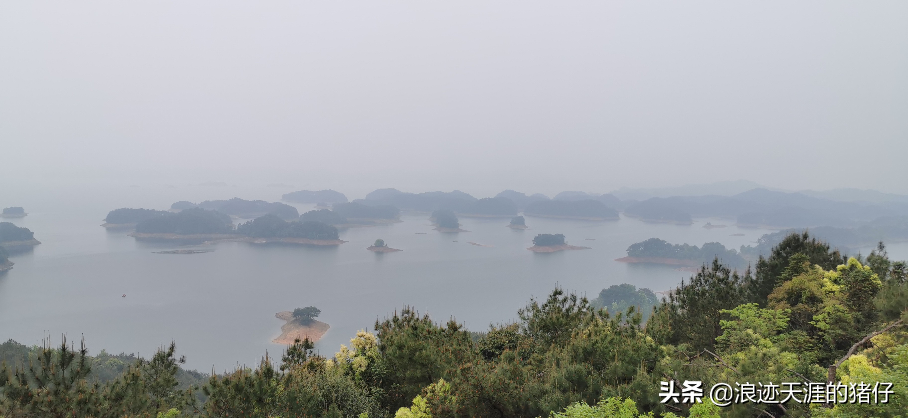 千岛湖疫情政策,千岛湖景区半价优惠
