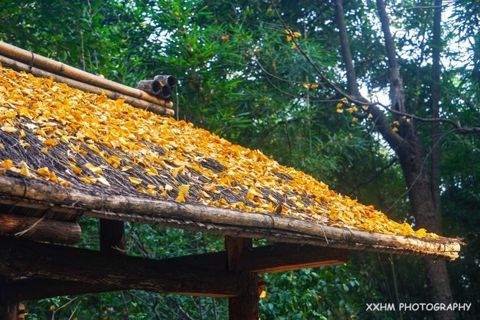 成都本地人去的最好吃的美食,中国姑娘吃成都美食