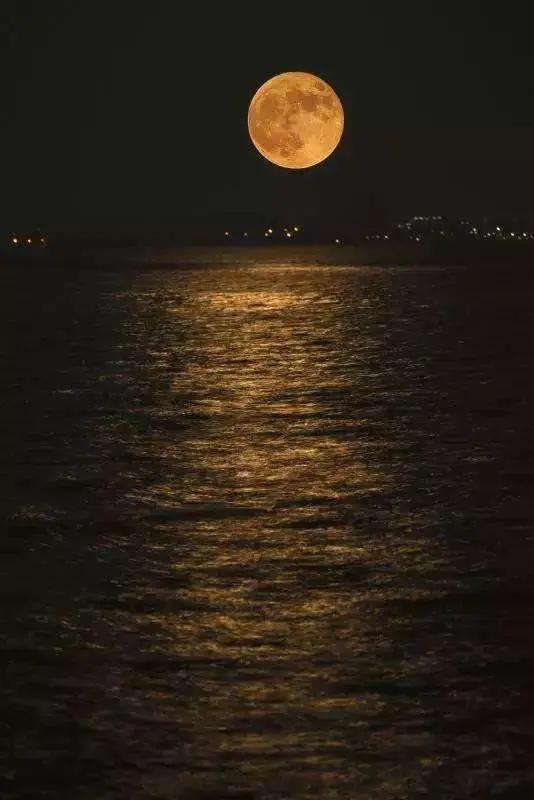 月亮思乡古诗100首,思乡的古诗句大全300首