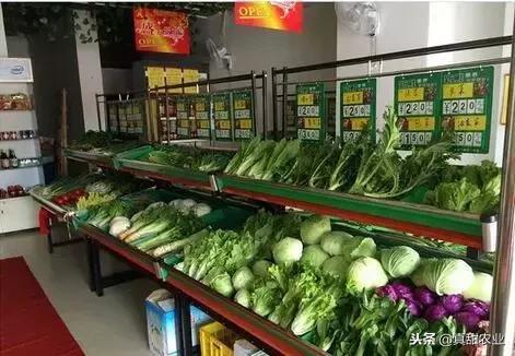 蔬菜行业套路多，种植户、批发商与零售商，哪个环节最容易赚钱